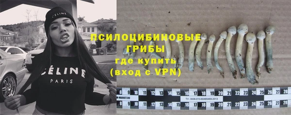mdpv Володарск