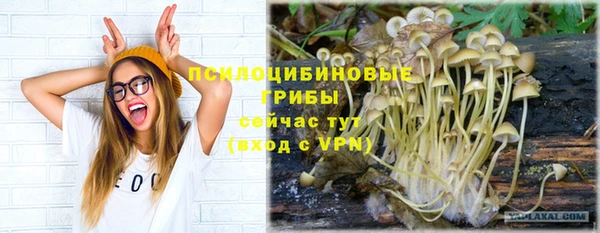 а пвп мука Бородино
