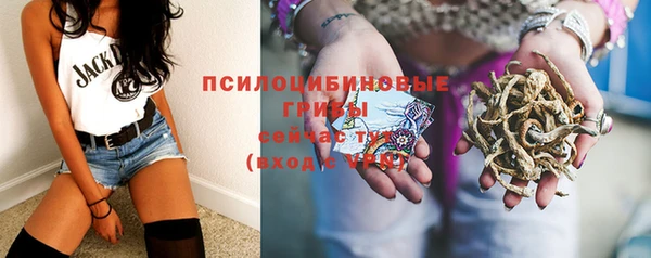 mdpv Володарск